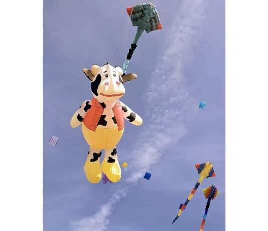 Wenn der Himmel tanzt: Das Drachenfestival von Berck 2026 Cerfs_volants_Berck_2025_Wikipedia