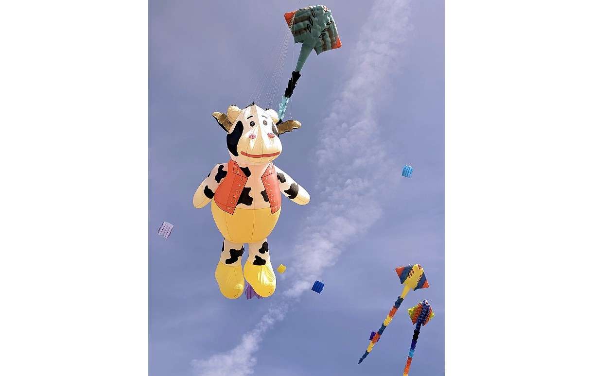 Wenn der Himmel tanzt: Das Drachenfestival von Berck 2026