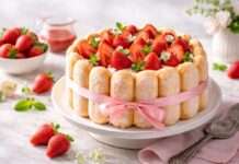 Die Zeit der Erdbeeren hat begonnen – Charlotte aux fraises Charlotte-aux-fraises