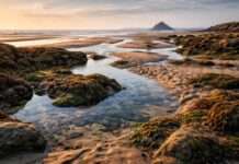 Wenn das Meer sich zurückzieht: Die stille Enthüllung einer verborgenen Welt Küstenlandschaft-bei-Ebbe-im-Abendlicht