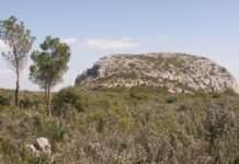 Zwischen Stein und Erinnerung – Unterwegs im Garlaban-Gebirge auf den Spuren von Marcel Pagnol Le_Garlaban_Wikipedia