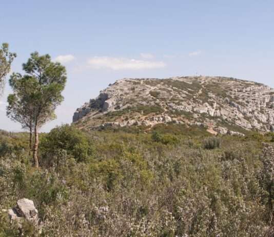 Zwischen Stein und Erinnerung – Unterwegs im Garlaban-Gebirge auf den Spuren von Marcel Pagnol Le_Garlaban_Wikipedia