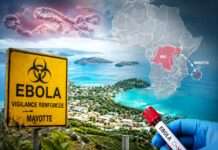 Ebola und Mayotte: Warum Frankreich den Indischen Ozean nun genauer beobachtet Ebola-Warnung-Mayotte_Illustration