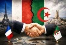 Zwischen Annäherung und Misstrauen: Warum Paris und Algier ihre Krise entschärfen müssen Frankreich-Algerien-Entspannung_Illustration