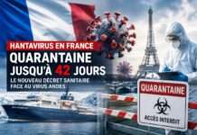 Frankreich verschärft Maßnahmen gegen Hantavirus – Quarantäne bis zu 42 Tage möglich Hantavirus-Quarantäne_Illustration