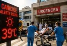 Wenn die Hitze zur systemischen Belastungsprobe wird – Frankreichs Krankenhäuser kämpfen am Limit Hitzewelle-Notfall-Krankenhaus_Illustration