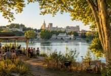 Die Insel, die Avignon entkommt Île-de-la-Barthelasse-Avignon_Illustration