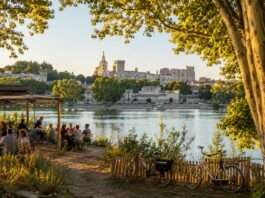 Die Insel, die Avignon entkommt Île-de-la-Barthelasse-Avignon_Illustration