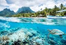 Das stille Sterben unter türkisfarbenem Wasser Polynesien-Natur_Illustration