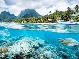 Das stille Sterben unter türkisfarbenem Wasser Polynesien-Natur_Illustration