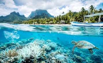 Das stille Sterben unter türkisfarbenem Wasser Polynesien-Natur_Illustration