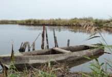 Das leise Reich der Grande Brière Swamp_of_Grande_Brière_(Wikipedia)
