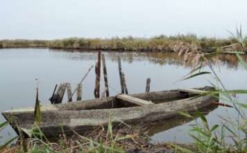 Das leise Reich der Grande Brière Swamp_of_Grande_Brière_(Wikipedia)