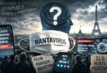 Es lebe die Verschwörungstheorie Verschwörung-Hantavirus_Illustration
