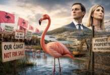 Albaniens «Flamingo-Revolution» stellt Kushner-Trump-Projekt infrage Albanien-Proteste-gegen-Immobilienprojekt-der-Familie-Trump_Illustration
