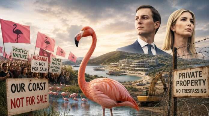 Albaniens «Flamingo-Revolution» stellt Kushner-Trump-Projekt infrage Albanien-Proteste-gegen-Immobilienprojekt-der-Familie-Trump_Illustration