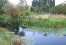 Verstecktes Paradies auf dem Wasser Hortillonnages-Amiens_Wikipedia