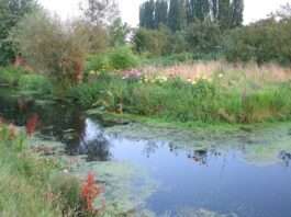 Hortillonnages-Amiens_Wikipedia