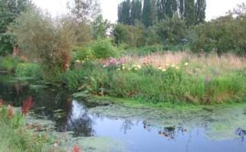 Verstecktes Paradies auf dem Wasser Hortillonnages-Amiens_Wikipedia
