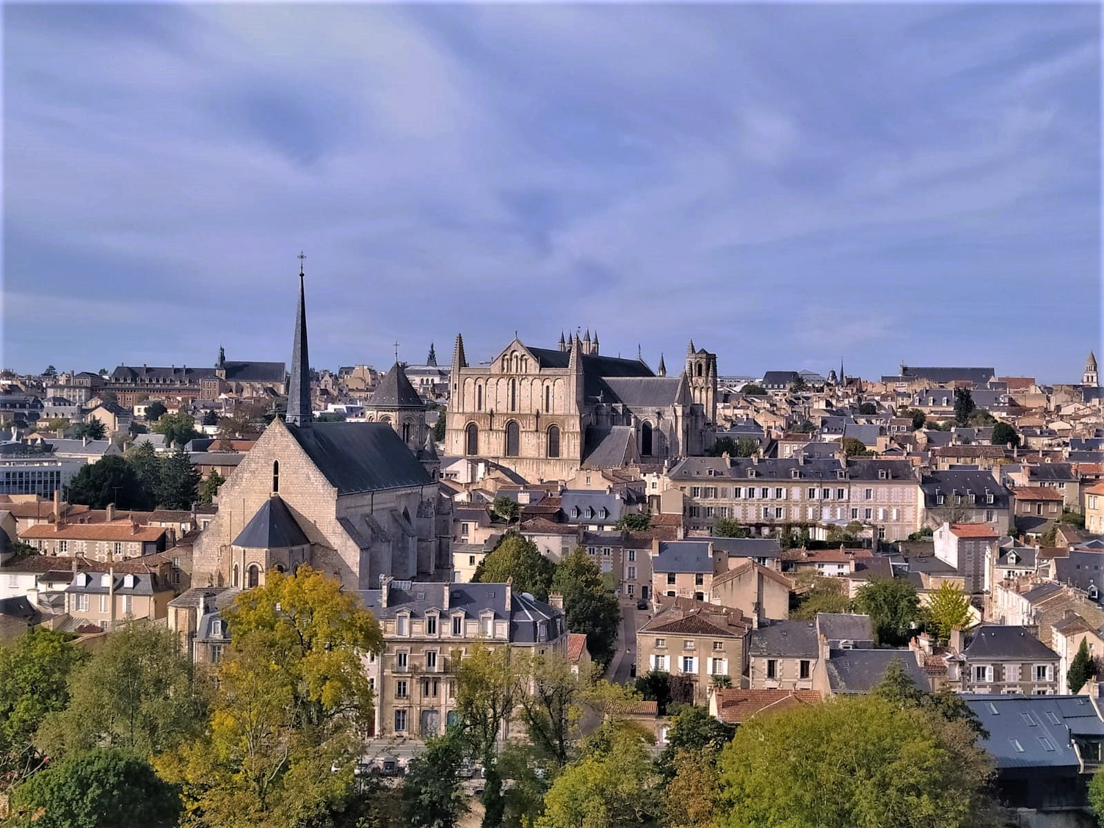Baumvandalismus in Poitiers: Dutzende Stadtbäume mutwillig verstümmelt