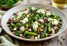 Salade de Lentilles Vertes: Der französische Klassiker neu interpretiert Salade-de-Lentilles-Vertes