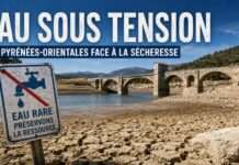 Wasser wird knapp – die neue Realität in den Pyrénées-Orientales Wasserknappheit-Ost-Pyrenäen_Illustration