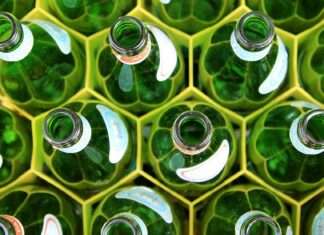 Glaspfand in Frankreich: Zero Waste France kritisiert fehlenden Schwung beim Mehrwegsystem Glaspfand-Mehrweg-Flaschen